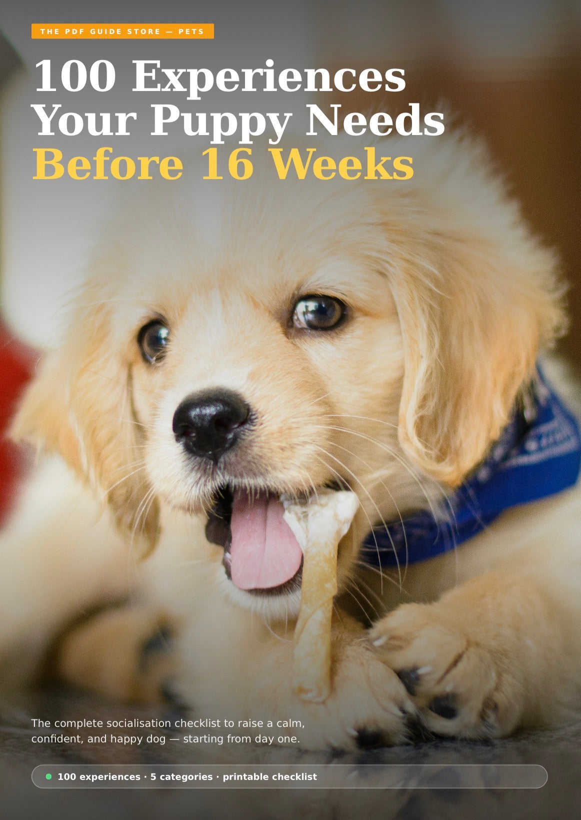 100 Experiences Your Puppy Needs Before 16 Weeks™
The Ultimate Socialisation Checklist
