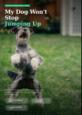 My Dog Won’t Stop Jumping Up™
The Step-by-Step Training Guide for Calm Greetings