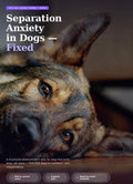 Stop Separation Anxiety in Dogs™
A Proven Step-by-Step Training Plan